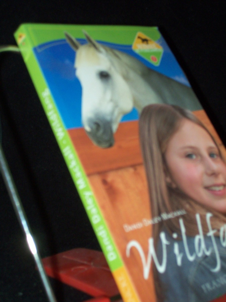 Product image 1 of the product “Mackall, Dandi Daley: Winnie, die Pferdezähmerin Teil: Bd. 1., Wildfang ”