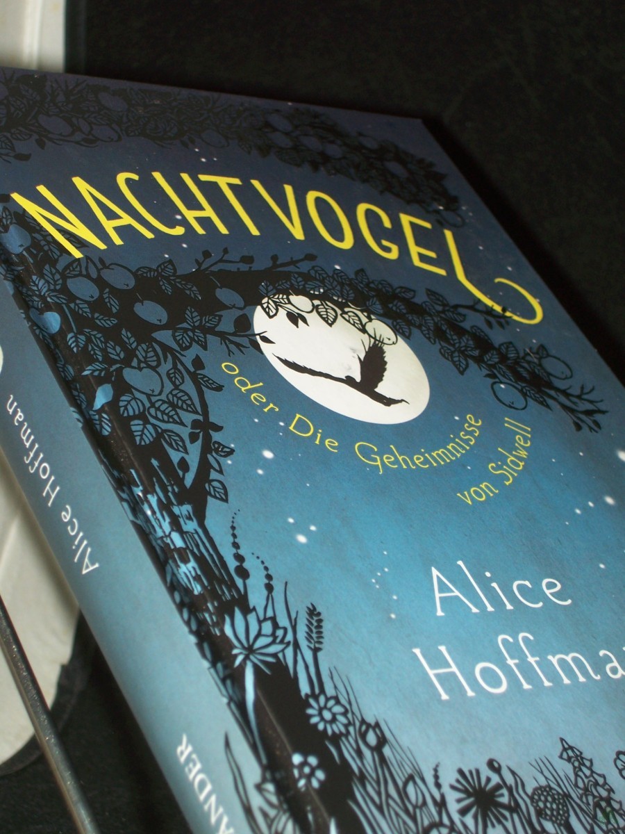 Product image 1 of the product “Nachtvogel oder Die Geheimnisse von Sidwell / Alice Hoffman ; aus dem Amerikanischen von Sibylle Schmidt ”