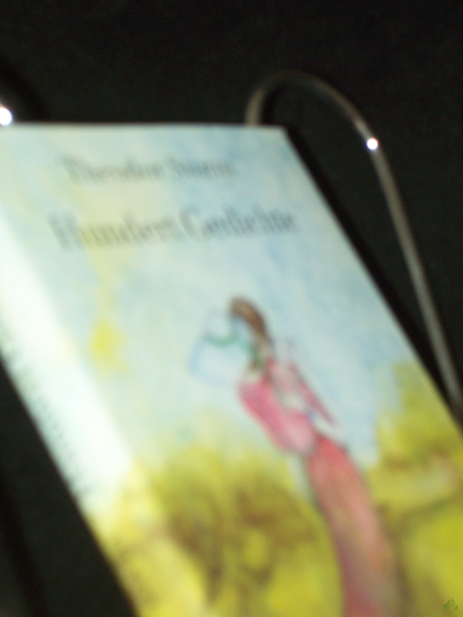 Product image 1 of the product “Hundert Gedichte / Theodor Storm. [Ausgew. u. zsgest. von Walter Lewerenz] ”