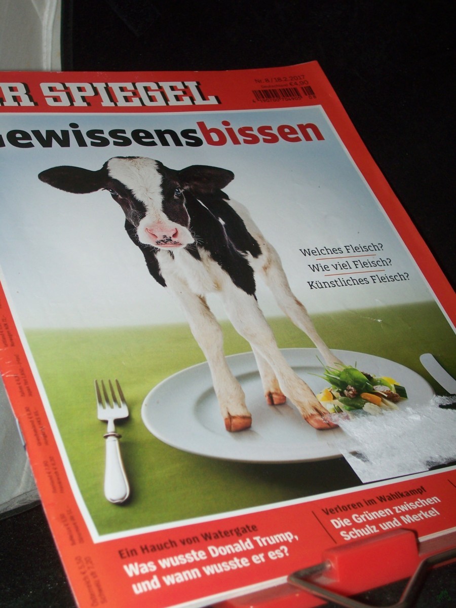 Artikelbild 1 des Artikels “8/2017, Gewissensbissen “