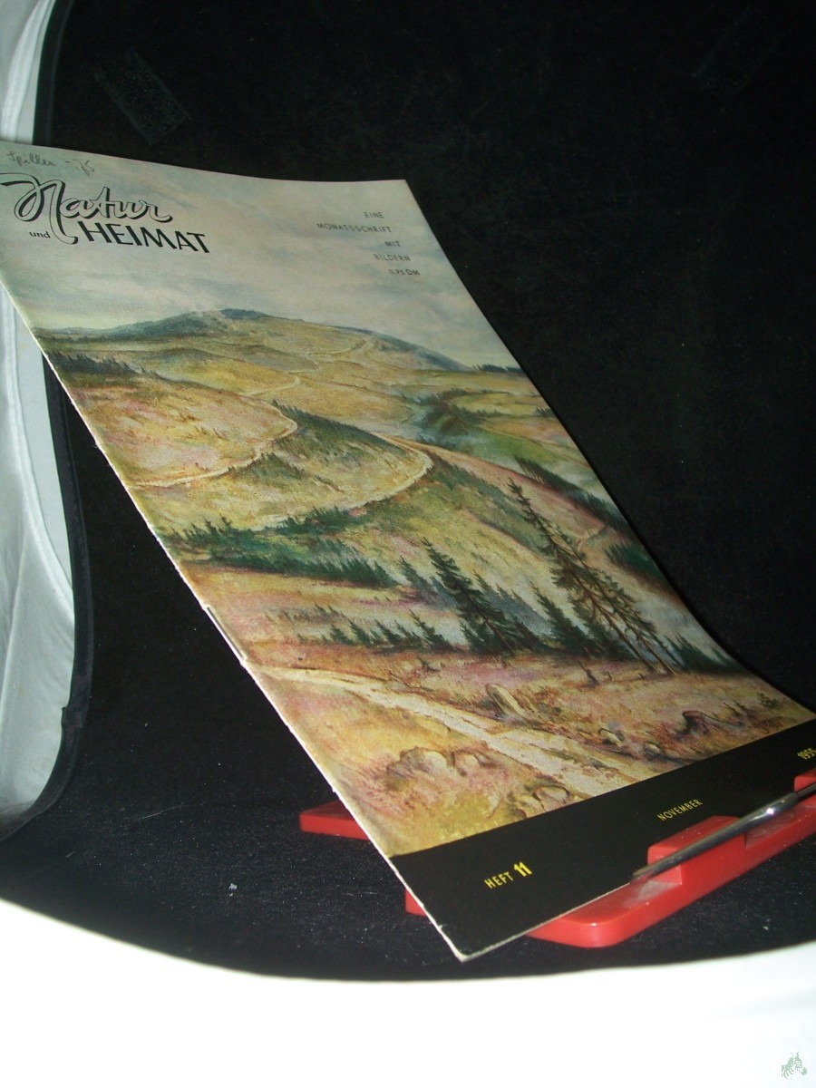 Artikelbild 1 des Artikels “11/1955 “