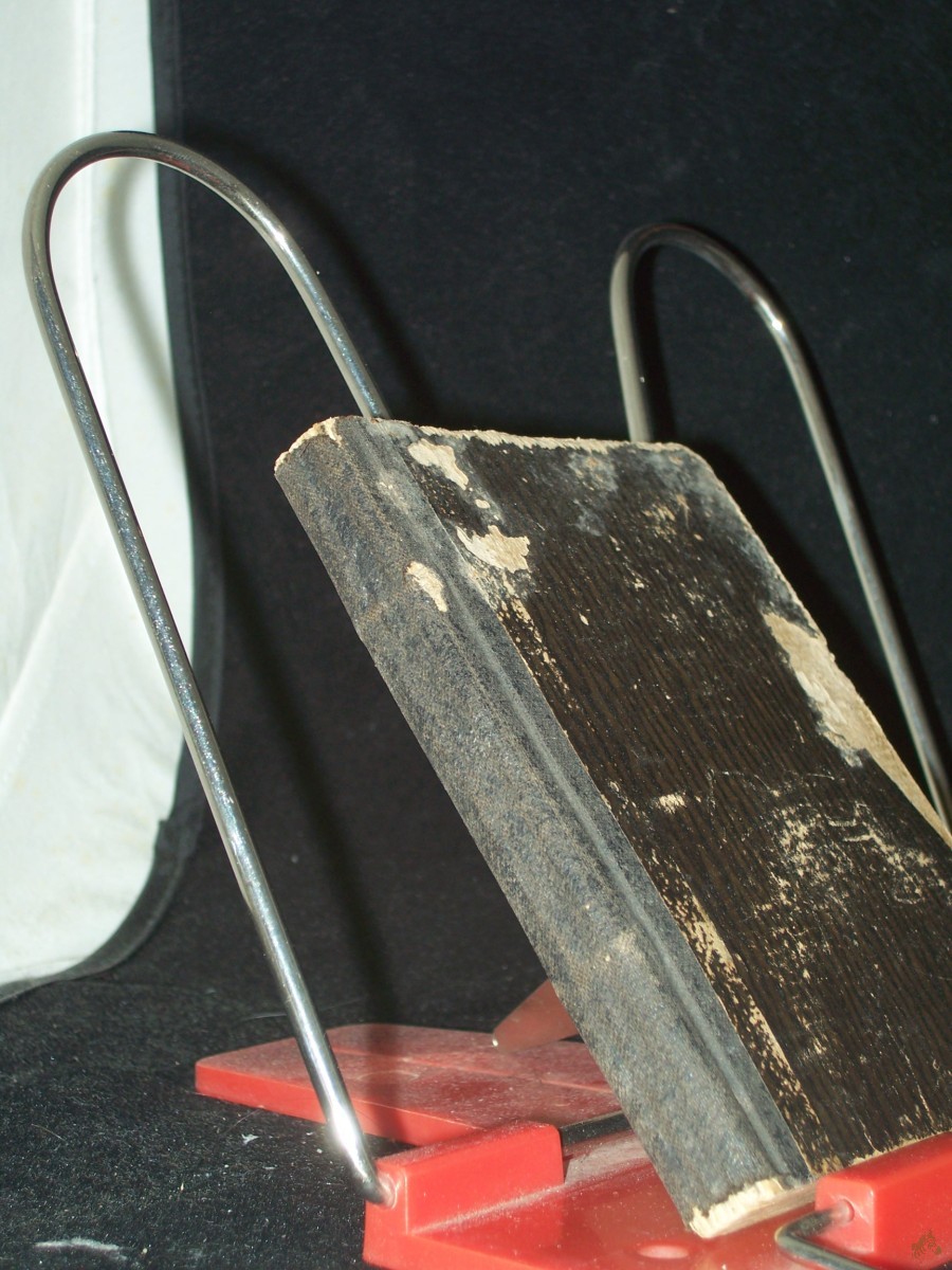 Artikelbild 1 des Artikels “Aus dem Leben christlicher Frauen : drei Vorträge / von Fr. H. R. Frank “