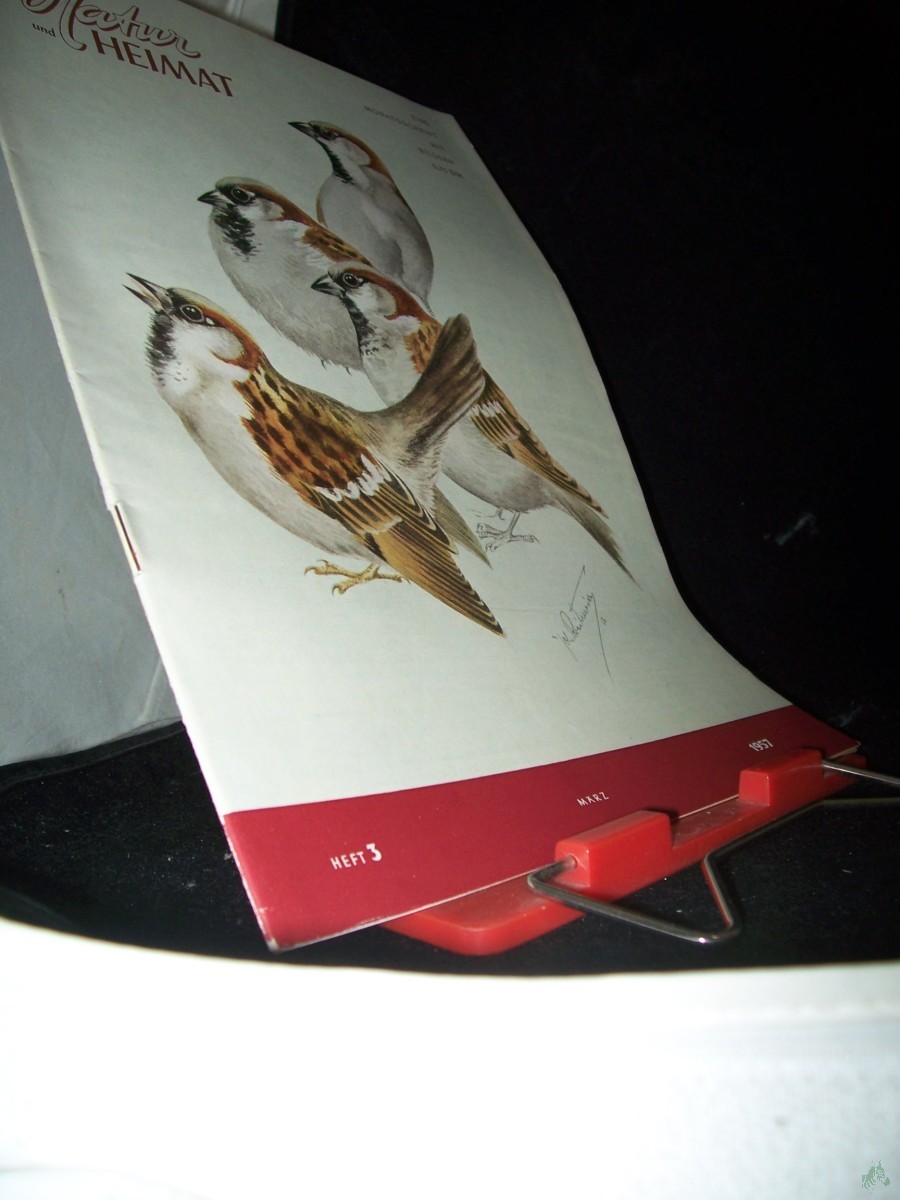 Artikelbild 1 des Artikels “3/1957 “