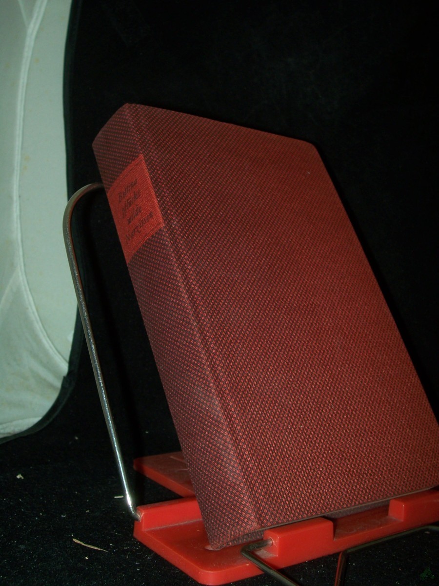 Product image 1 of the product “Bettina pflückt wilde Narzissen : 66 Geschichten von 44 Autoren ”
