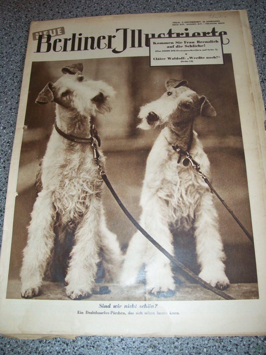 Artikelbild 1 des Artikels “41/1953 SIND WIR NICHT SCHÖN? EIN DRAHTHAARFOX TERRIER PÄRCHEN “