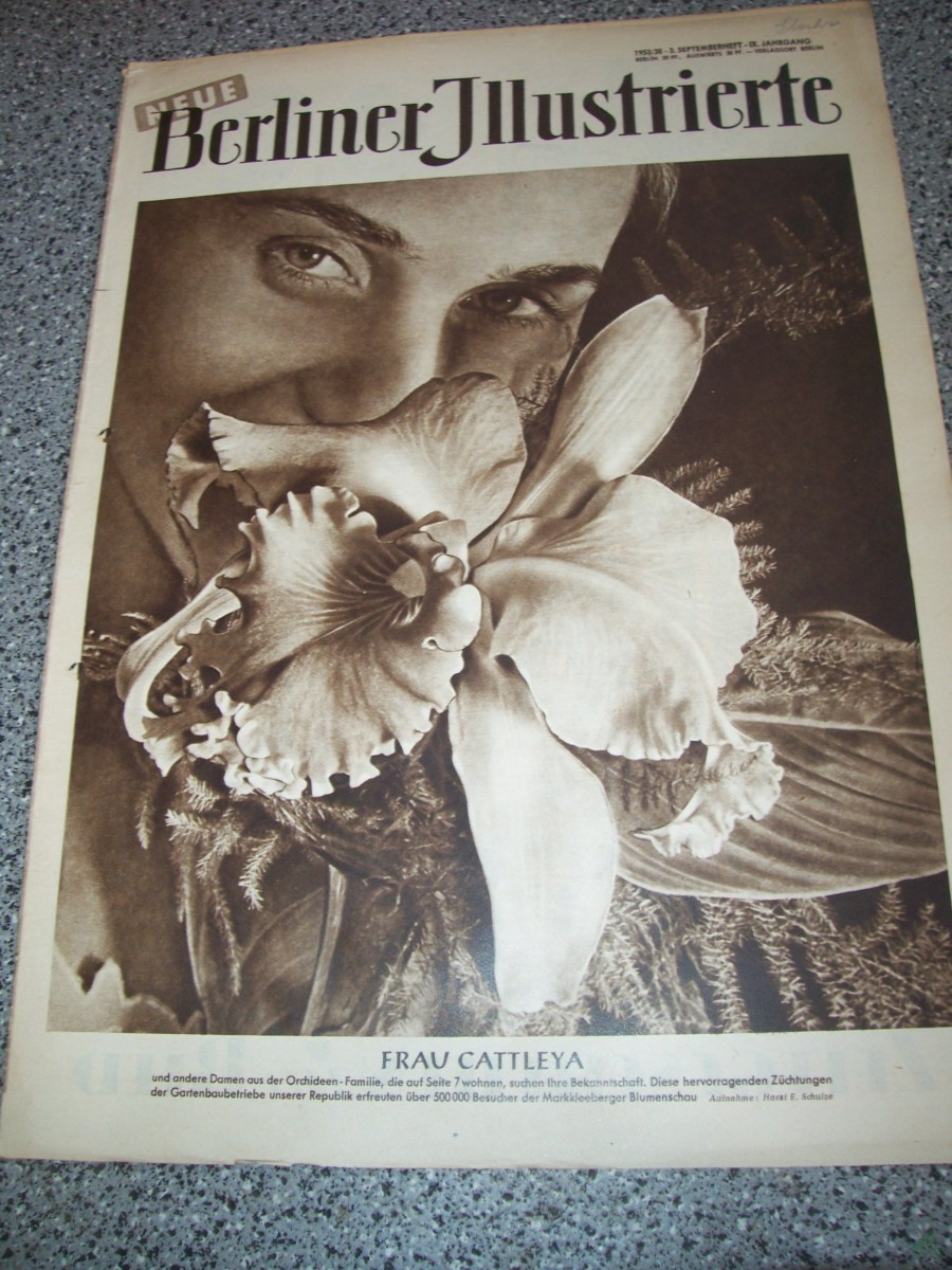 Artikelbild 1 des Artikels “38/1953 FRAU CATTLEYA “