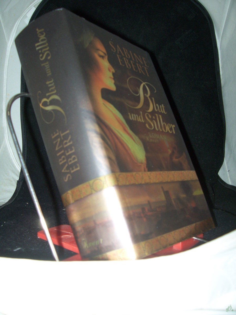 Product image 1 of the product “Blut und Silber / Sabine Ebert ”