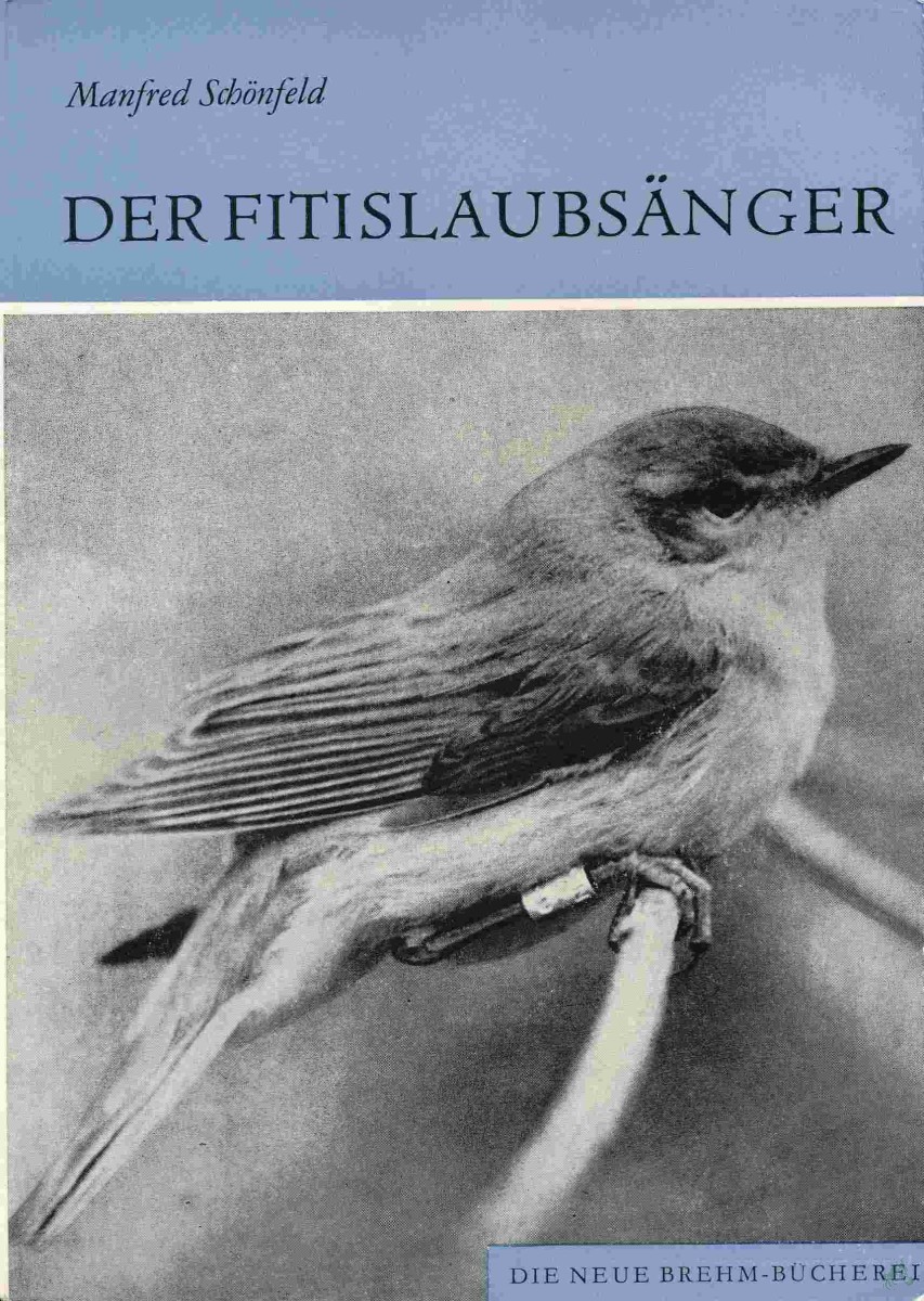 Artikelbild 1 des Artikels “Der Fitislaubsänger : Phylloscopus trochilus / von Manfred Schönfeld “