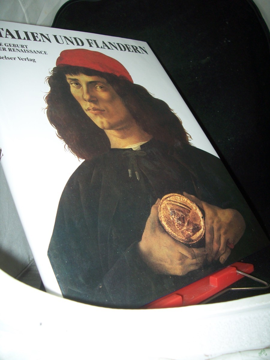 Product image 1 of the product “Italien und Flandern : die Geburt der Renaissance / Liana Castelfranchi Vegas. [Übers.: Ingrid Koch-Dubbers] ”