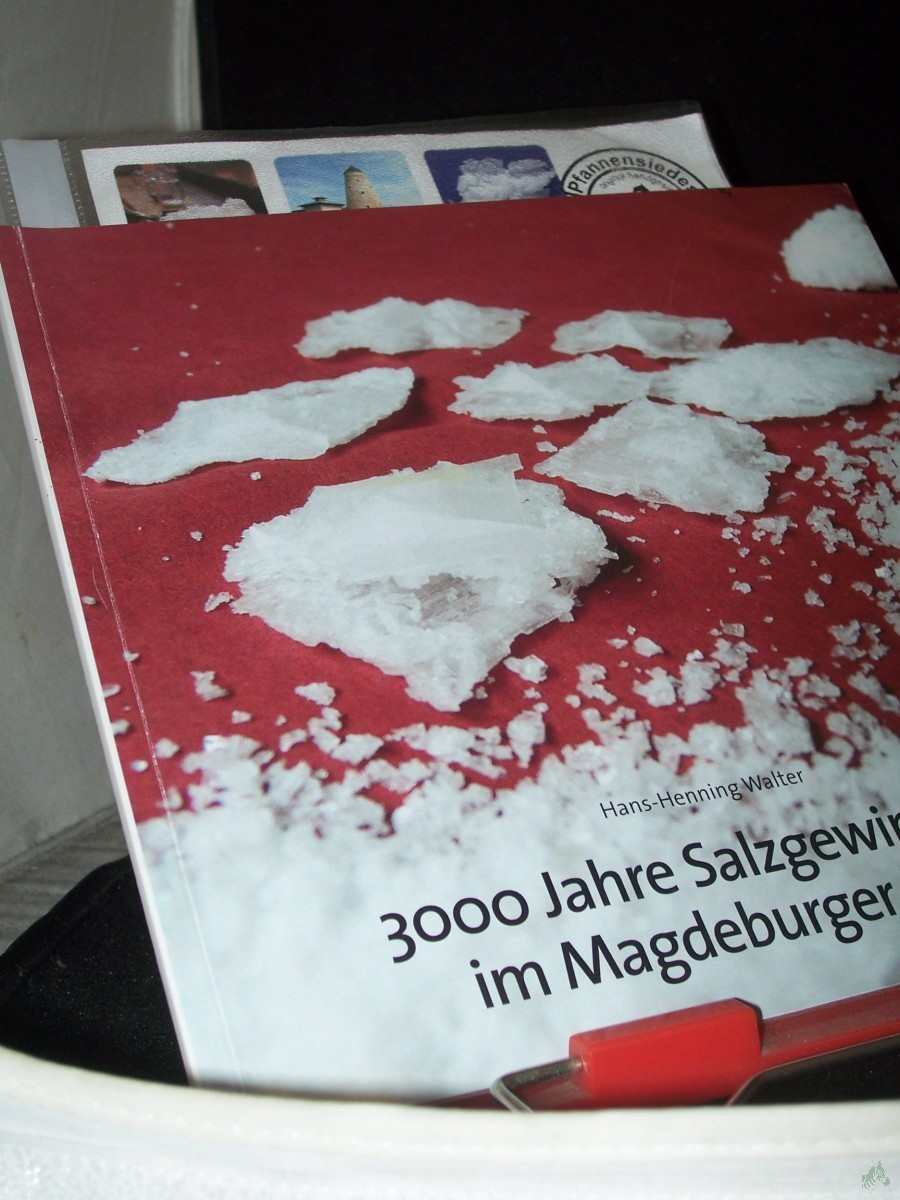 Product image 1 of the product “3000 Jahre Salzgewinnung im Magdeburger Land ”