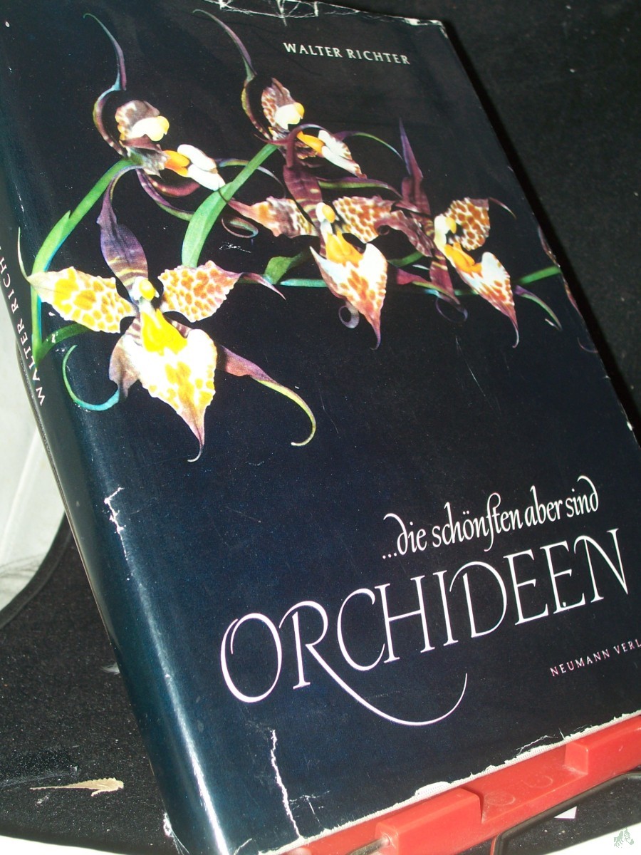 Artikelbild 1 des Artikels “... die schönsten aber sind Orchideen / Walter Richter “