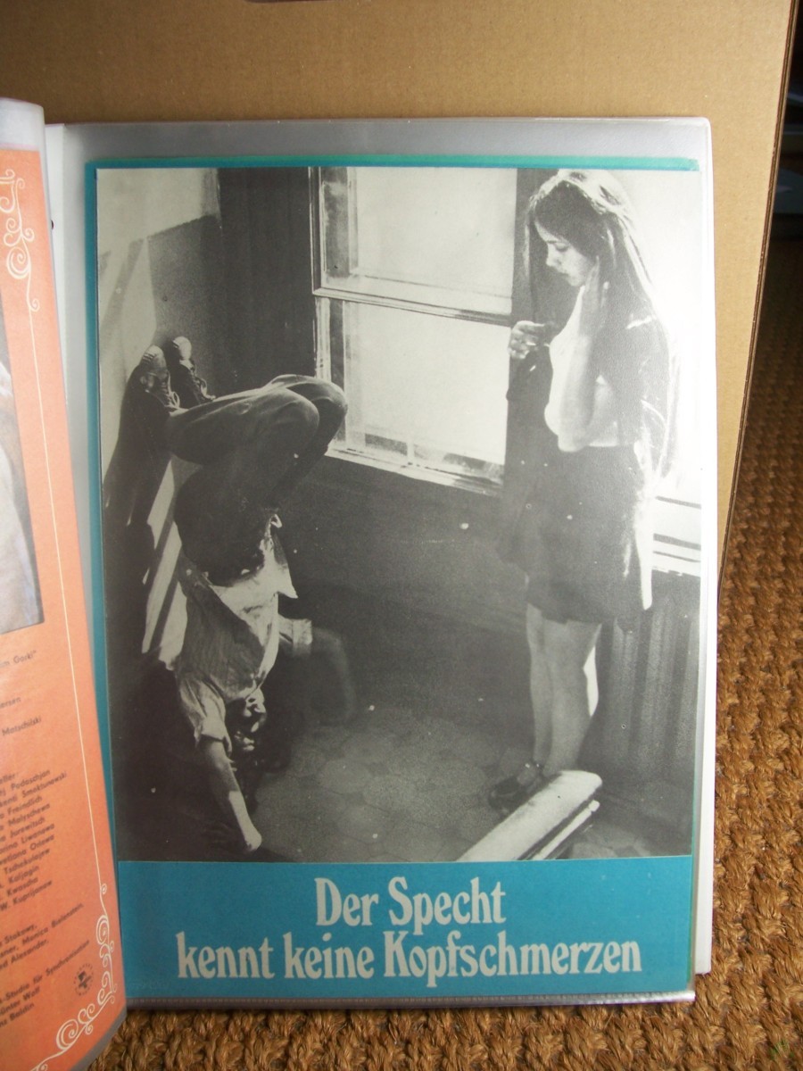 Artikelbild 1 des Artikels “5/1978 Der Specht kennt keine Kopfschmerzen “