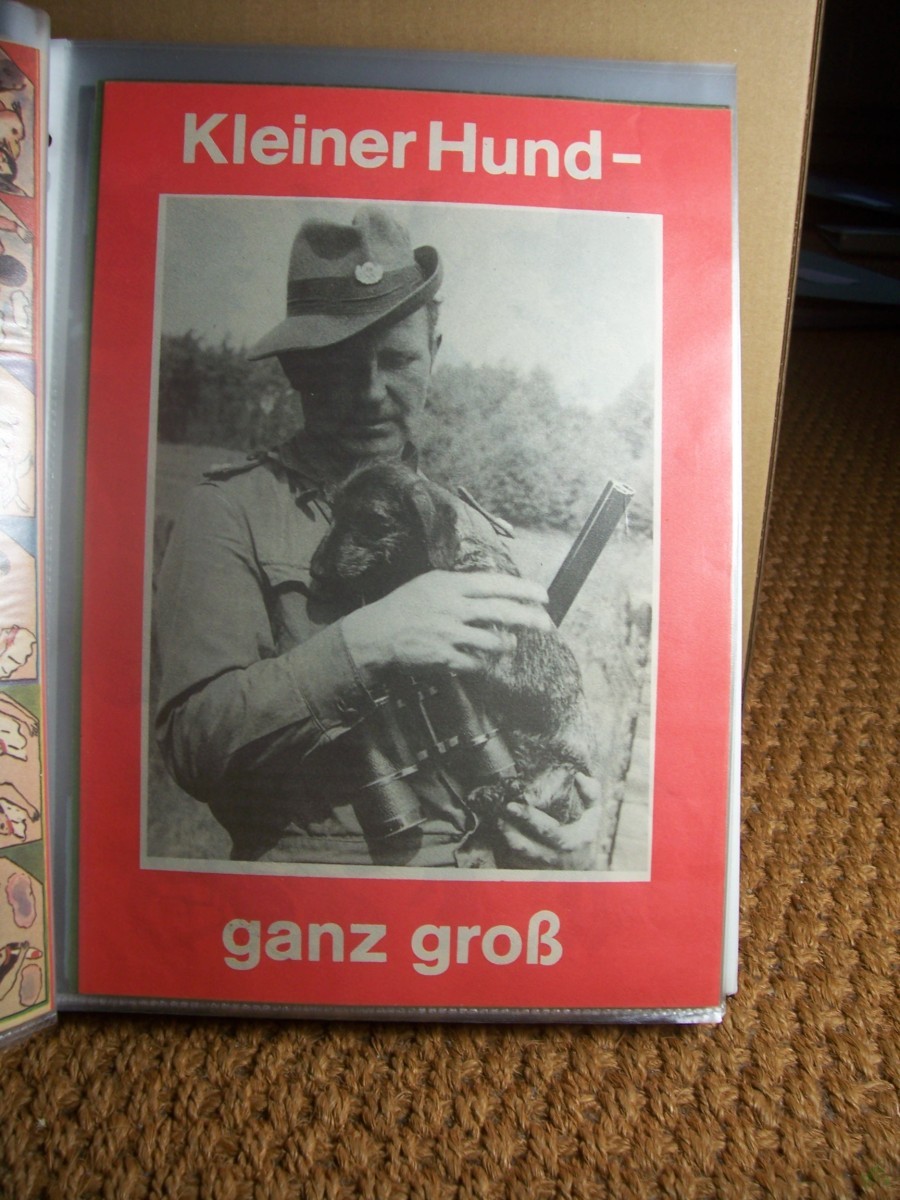 Artikelbild 1 des Artikels “11/76 Kleiner Hund ganz groß “