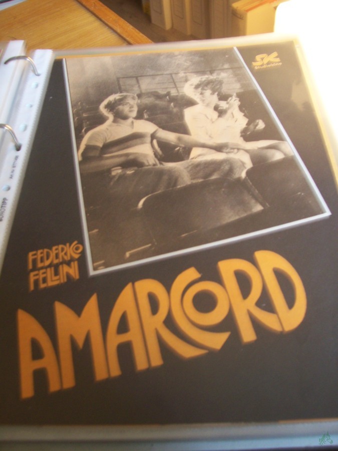 Artikelbild 1 des Artikels “Amarcord “