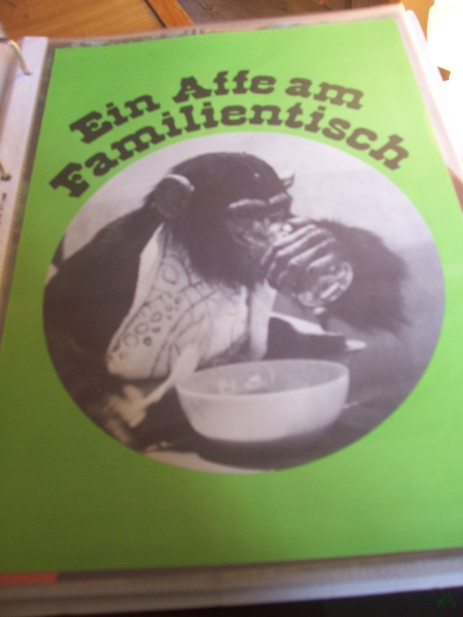 Artikelbild 1 des Artikels “Ein Affe am Familientisch “