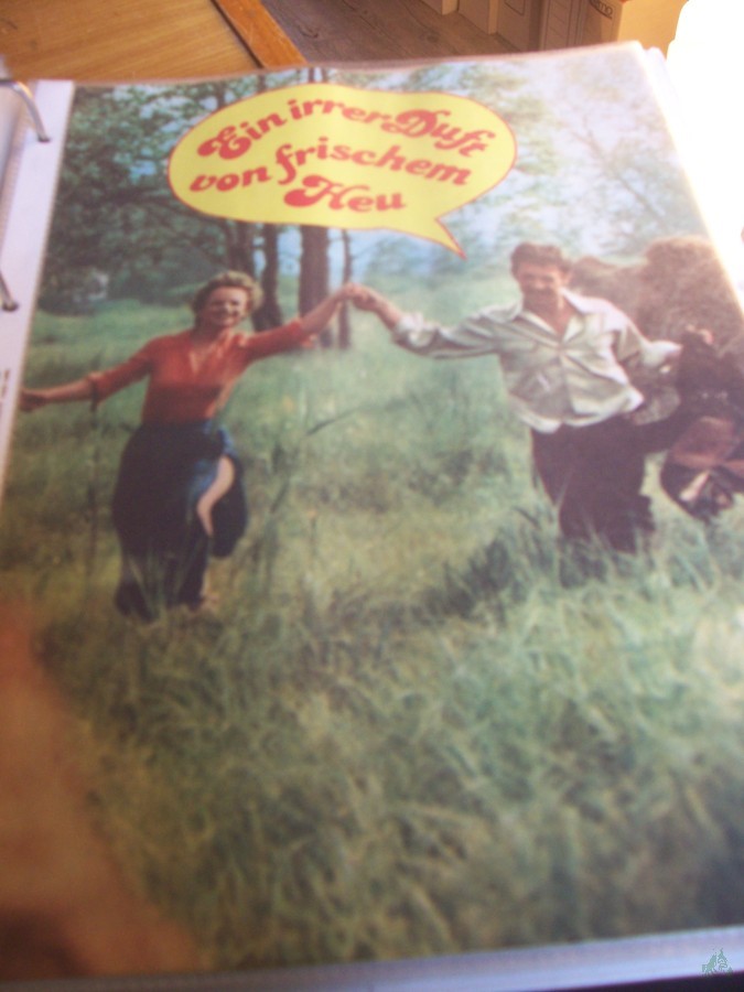 Artikelbild 1 des Artikels “Ein irrer Duft von frischem Heu “