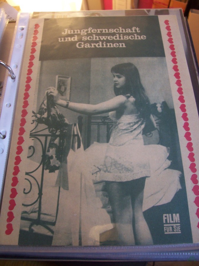 Artikelbild 1 des Artikels “Jungfernschaft und schwedische Gardinen “