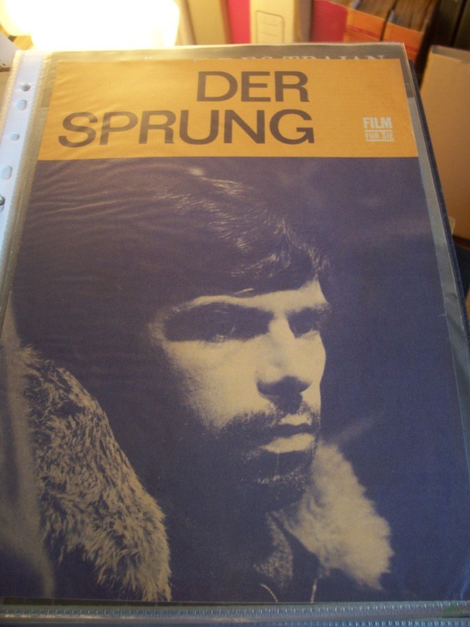 Artikelbild 1 des Artikels “Der Sprung “