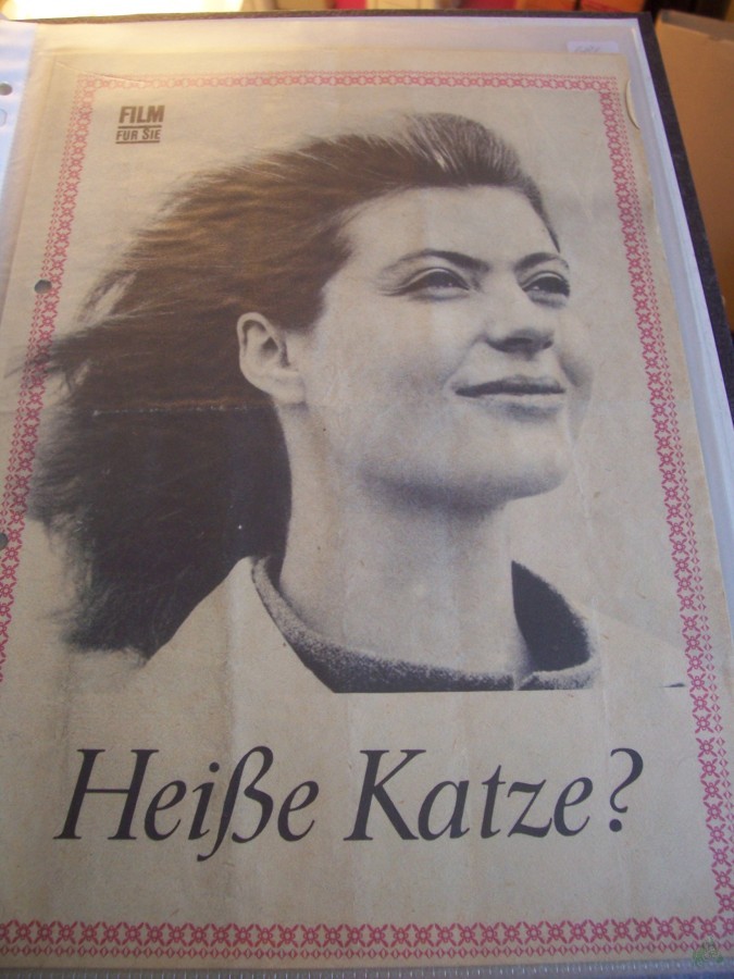 Artikelbild 1 des Artikels “Heiße Katze? “