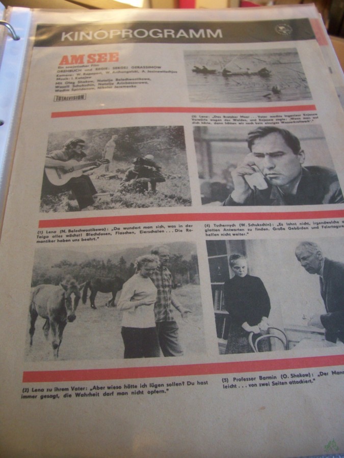 Artikelbild 1 des Artikels “AM SEE “