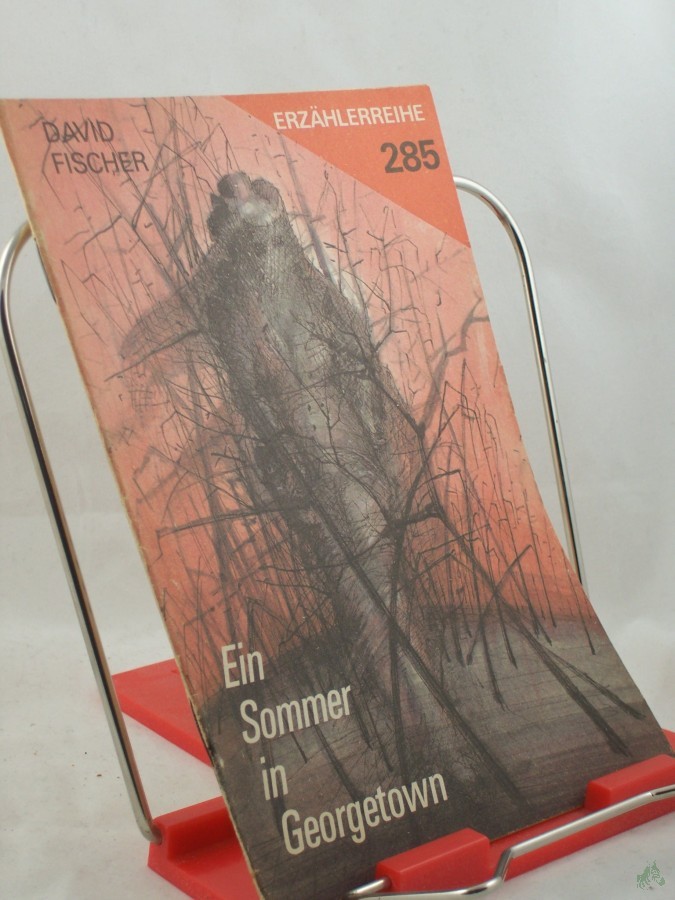 Product image 1 of the product “Ein Sommer in Georgetown / David Fischer. Illustrationen: Jürgen Wagner ”