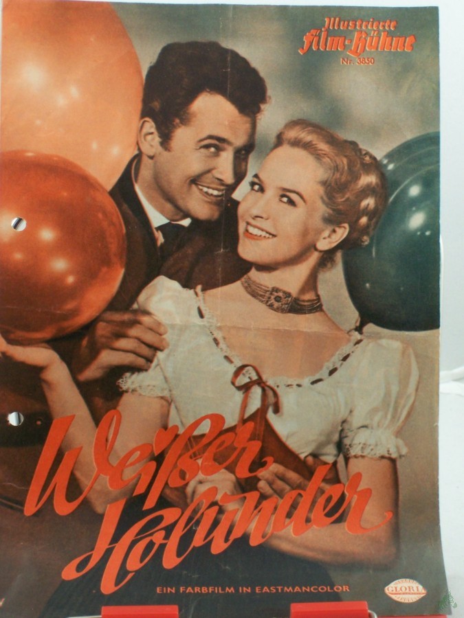 Artikelbild 1 des Artikels “Nr. 3850, Weißer Holunder “