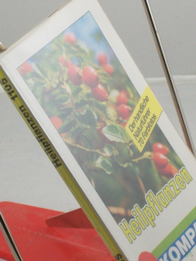 Artikelbild 1 des Artikels “Heilpflanzen sehen und verstehen / Texte: Christine Jaitner “