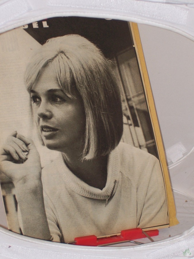 Artikelbild 1 des Artikels “19/1966 Teri Torday “