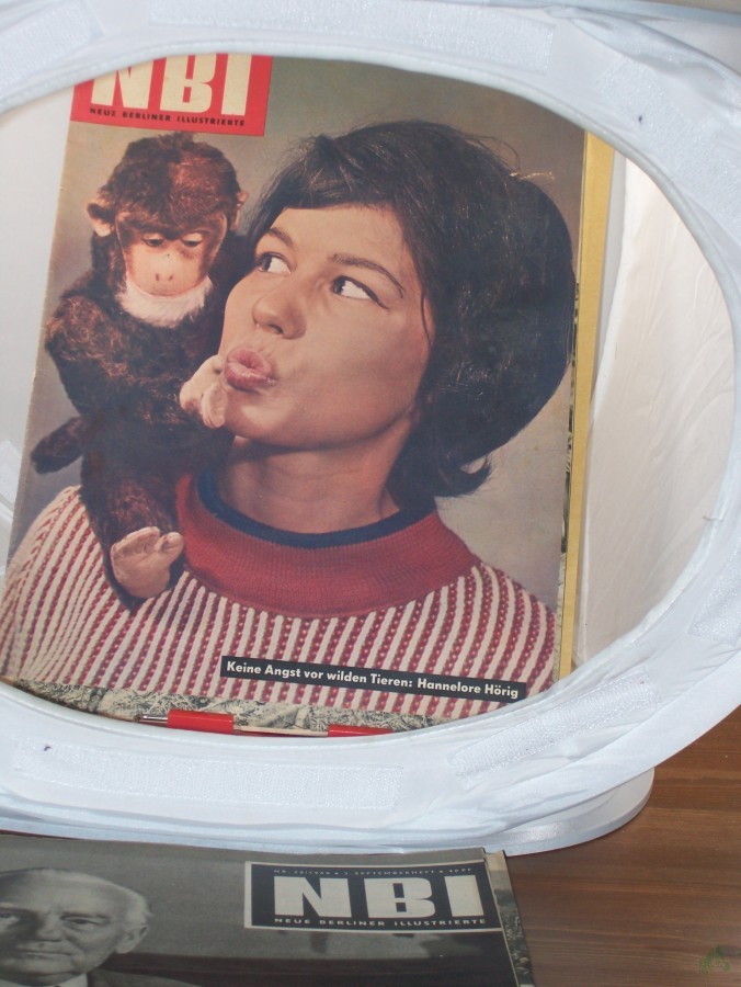 Artikelbild 1 des Artikels “Nr. 51/1960, Keine Angst vor wilden Tieren: Hannelore Hörig “