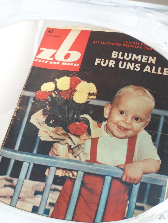 Artikelbild 1 des Artikels “40/1963, Blumen für uns alle “