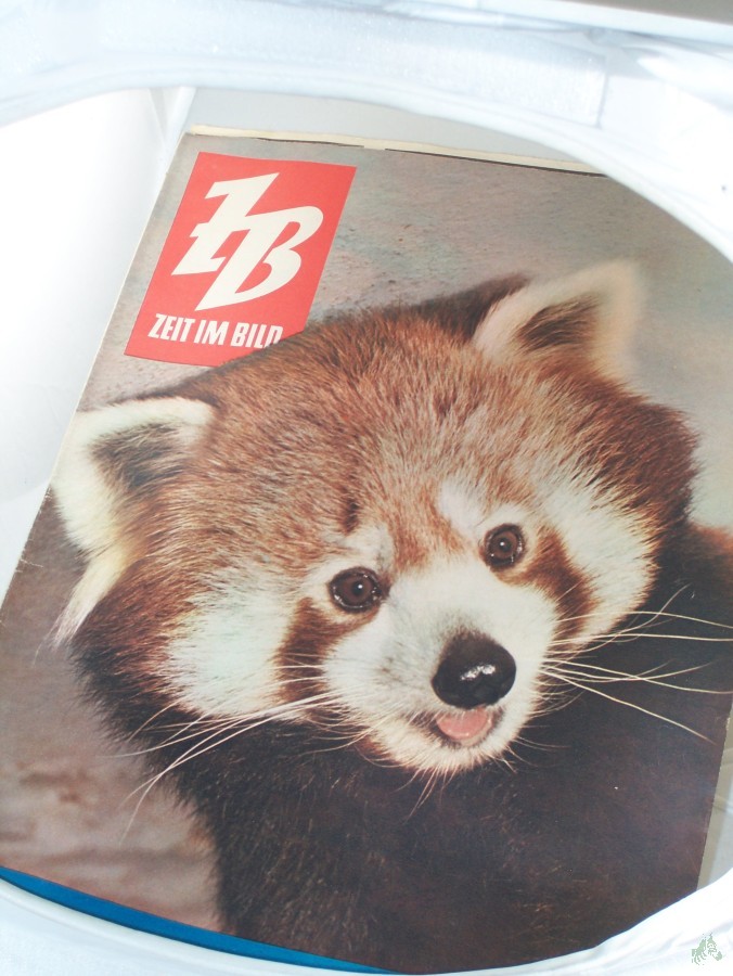 Artikelbild 1 des Artikels “46/1960 “