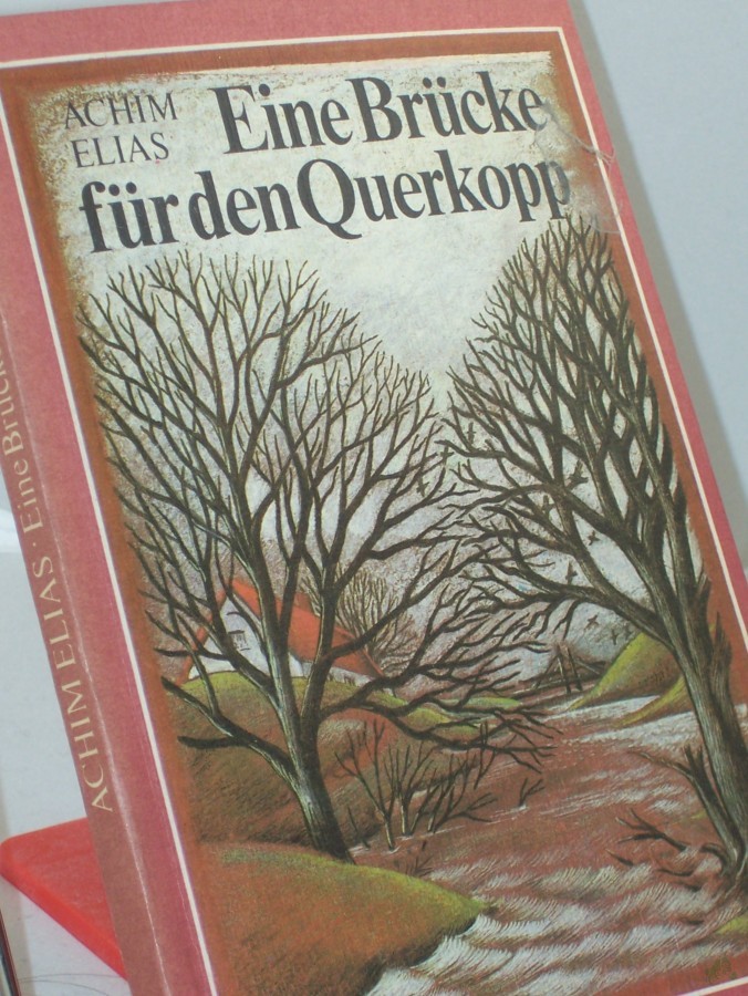 Product image 1 of the product “Eine Brücke für den Querkopp / Achim Elias. Ill von Christiane Knorr ”