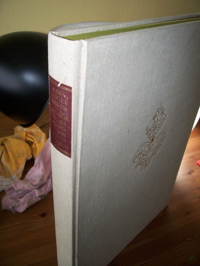 Artikelbild 1 des Artikels “Metamorphosis insectorum Surinamensium : of te verandering der Surinaamasche insecten / door Maria Sibylla Merian “