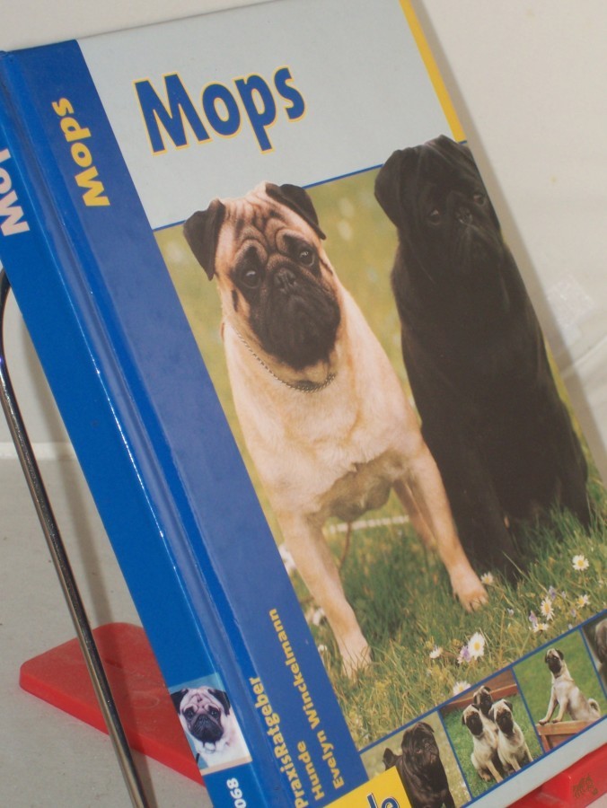 Artikelbild 1 des Artikels “Mops / Evelyn Winckelmann “