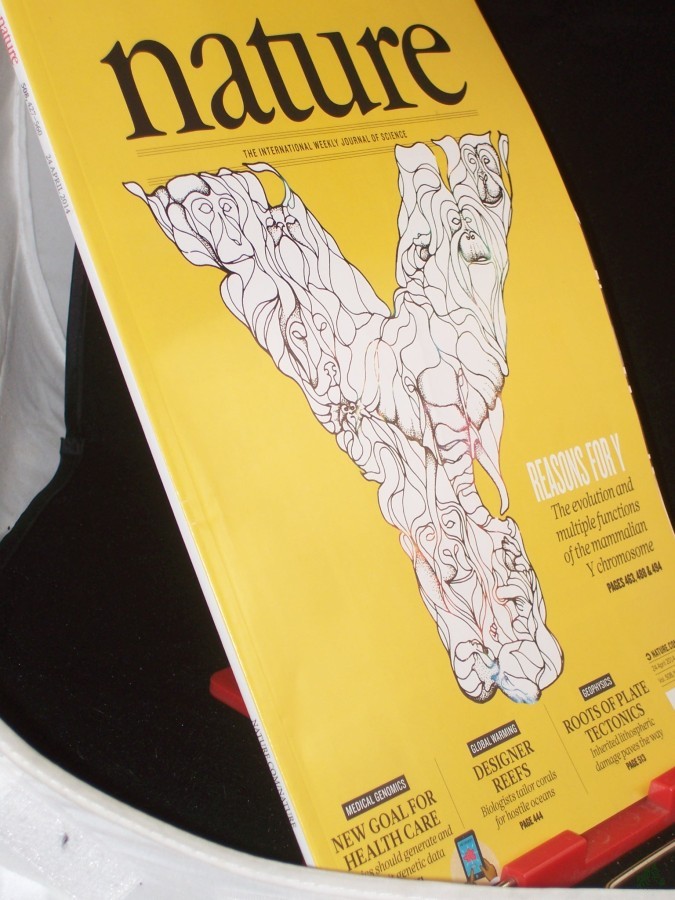 Artikelbild 1 des Artikels “Vol 508, No. 7497, April 2014, Reasons for Y “