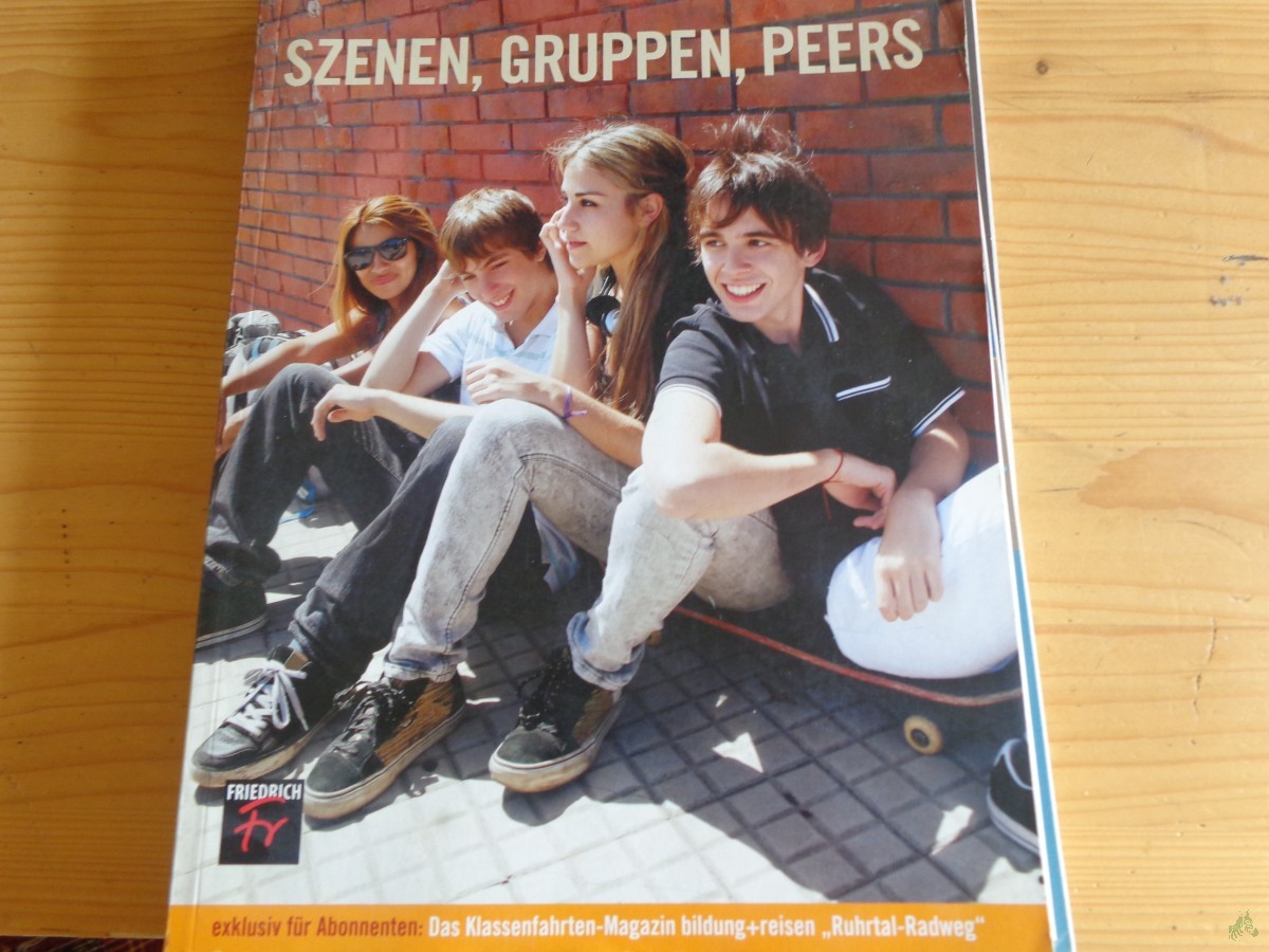 Artikelbild 1 des Artikels “2010, Szenen, Gruppen, Peers “