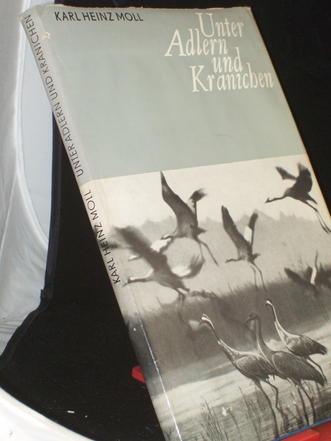 Artikelbild 1 des Artikels “Unter Adlern und Kranichen am Grossen See / Karl-Heinz Moll “