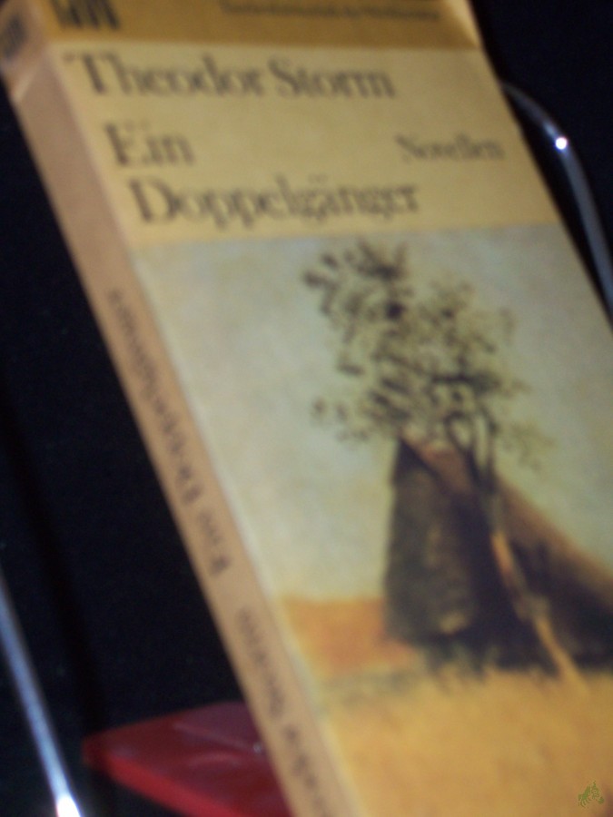 Product image 1 of the product “Ein Doppelgänger : Novellen / Theodor Storm ”