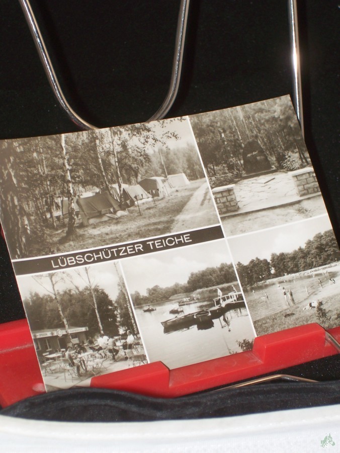 Artikelbild 1 des Artikels “Lübschützer Teiche bei Machern, Kreis Wurzen, Foto Kühn “