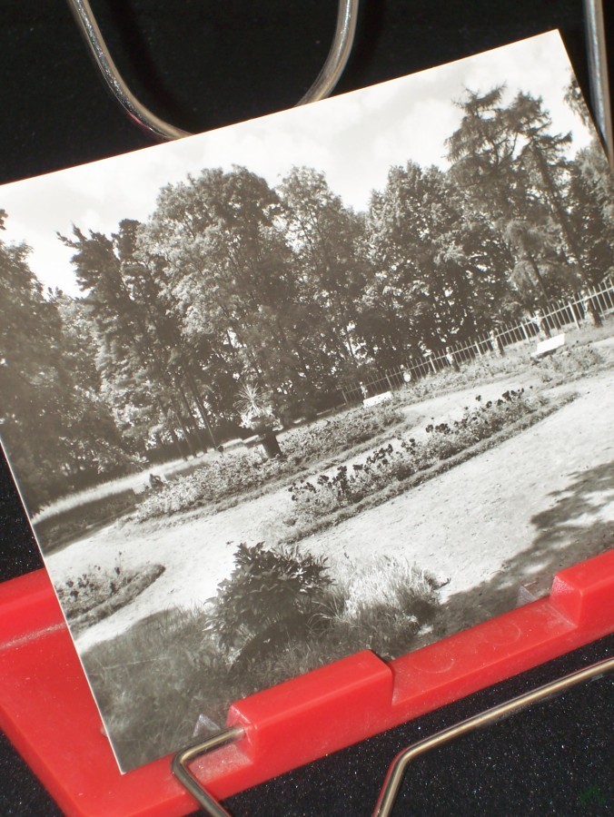 Artikelbild 1 des Artikels “Kurbad Bad Lausick, Rosengarten, 1972 “