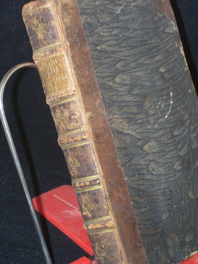 Artikelbild 1 des Artikels “Jobus Proverbia Salomonis ecclesiastes canticum Canticorum ex recensione Textus Hebraei et versionum antiquarum latine versi notisque Philologicis et criticis illustrati. “