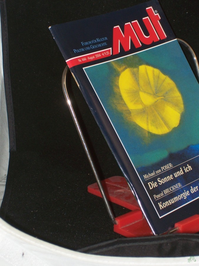 Artikelbild 1 des Artikels “8/2004, Die Sonne und ich “