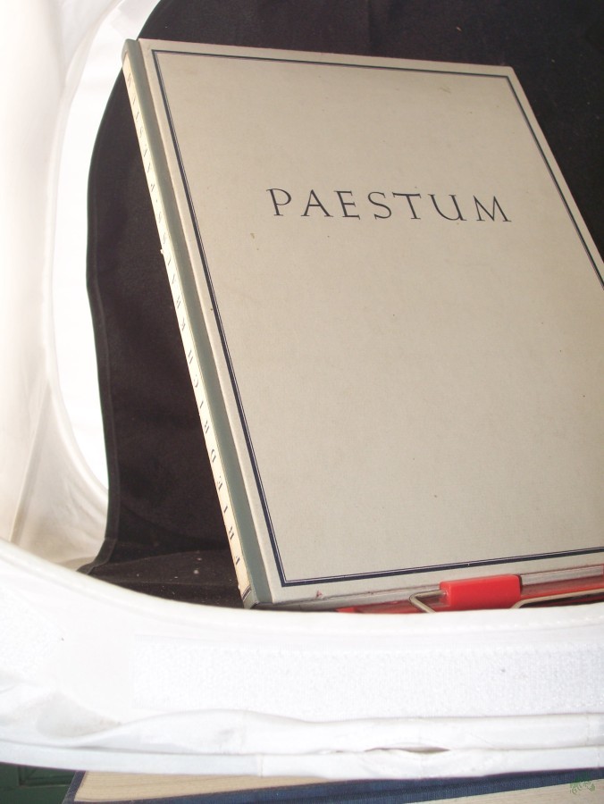 Product image 1 of the product “Paestum : Die griechischen Tempel / Friedrich Krauss ”