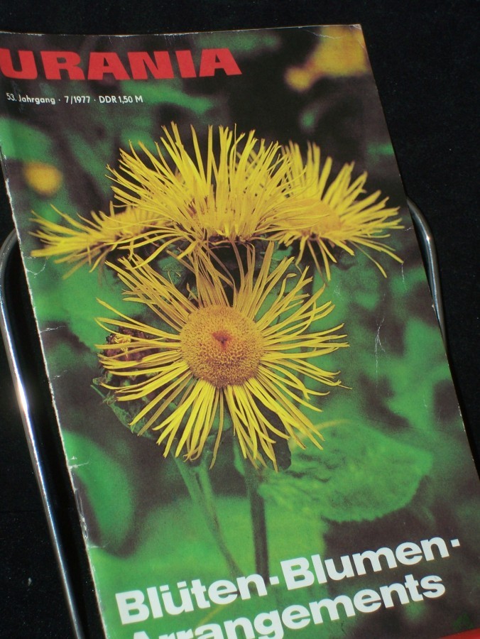 Artikelbild 1 des Artikels “7/1977, Blüten Blumen Arrangements, Prof. Dr. W. Markow D. Krauß Prof. Dr. B. A. Trofimow, Dr. W. J. Reschetow, Dr. K. Fischer Dr. Jutta Kühn Dr. H. Heß A. Schütze Dr. R. Schönknecht Dipl.-Ing. A. Danitz Prof. Dr. M. Schmidt Prof. Dr. H. Ni “