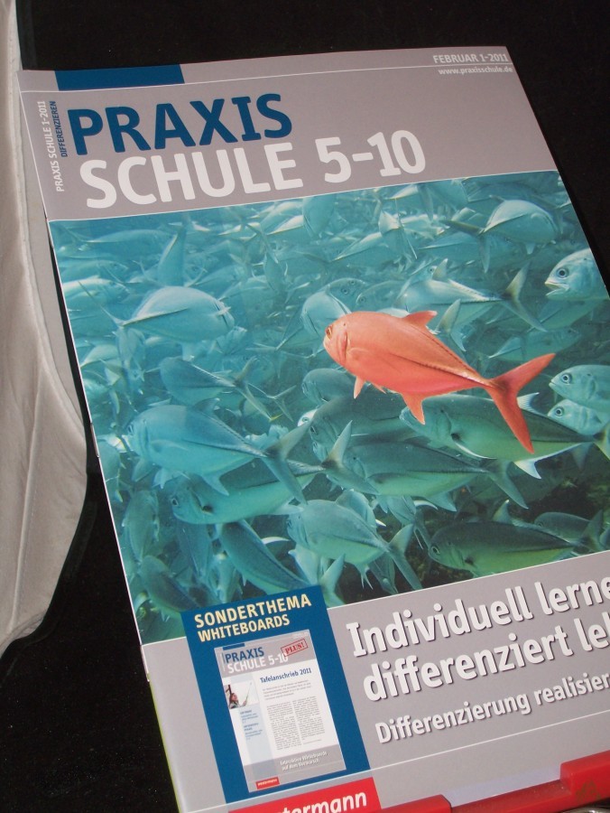 Artikelbild 1 des Artikels “1/2011, Individuell lernen, differenziert lehren “