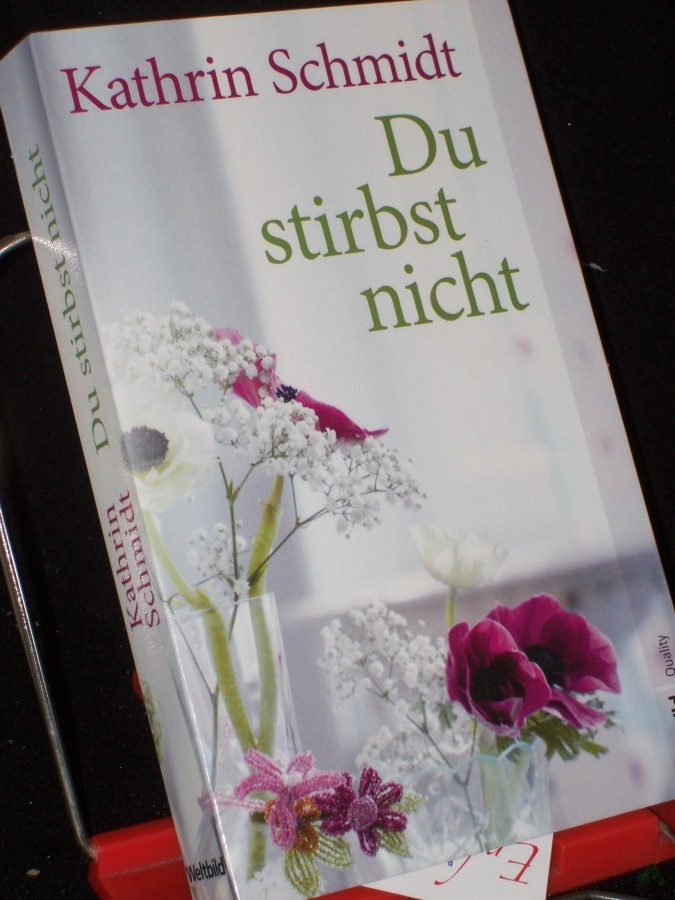 Artikelbild 1 des Artikels “Du stirbst nicht : Roman / Kathrin Schmidt “