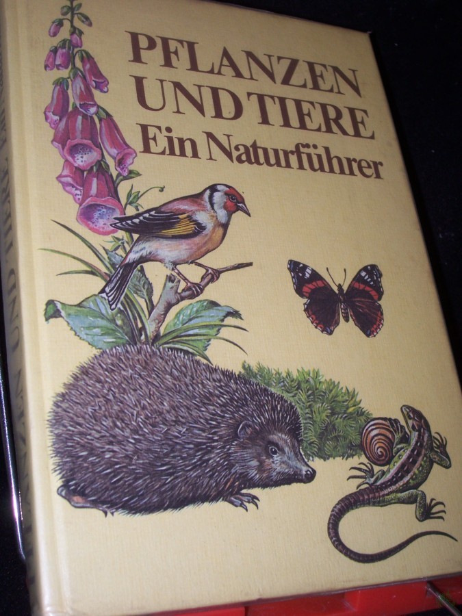 Artikelbild 1 des Artikels “Pflanzen und Tiere : e. Naturführer / Christoph Needon... [Ill.: Johann Breitmeier...] “