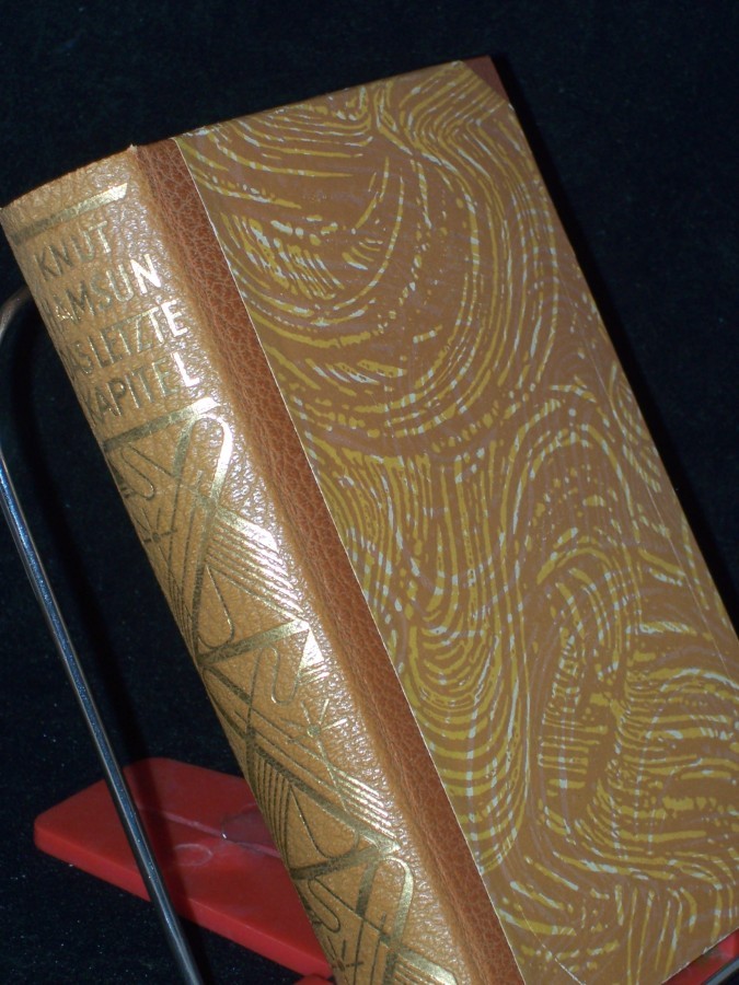 Artikelbild 1 des Artikels “Das letzte Kapitel / Knut Hamsun. Einzig berecht., neu durchges. Übertr. aus d. Norweg. von Erwin Magnus “