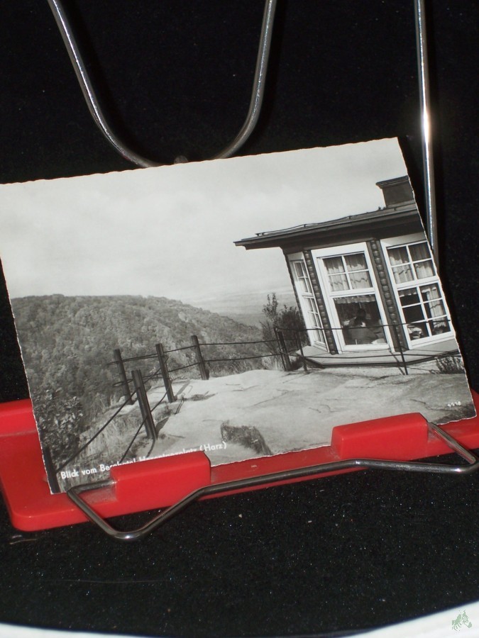 Artikelbild 1 des Artikels “Blick vom Berghotel Hexentanzplatz (Harz) “