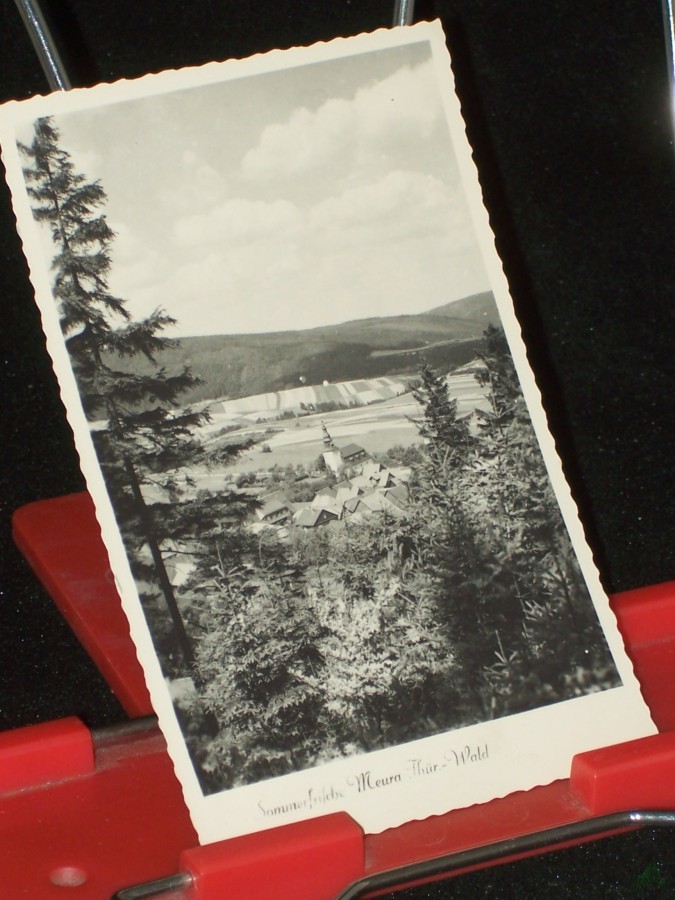 Artikelbild 1 des Artikels “Sommerfrische Meura Thüringer Wald “